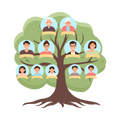 Árbol Genealógico (8 generaciones)